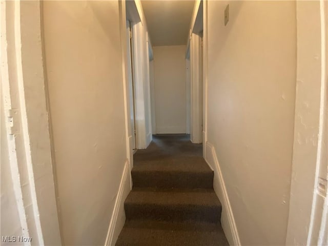 stairway with carpet flooring