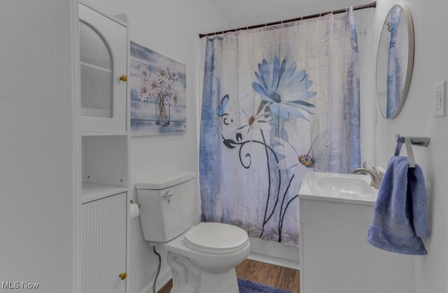 bathroom with wood finished floors, toilet, and vanity