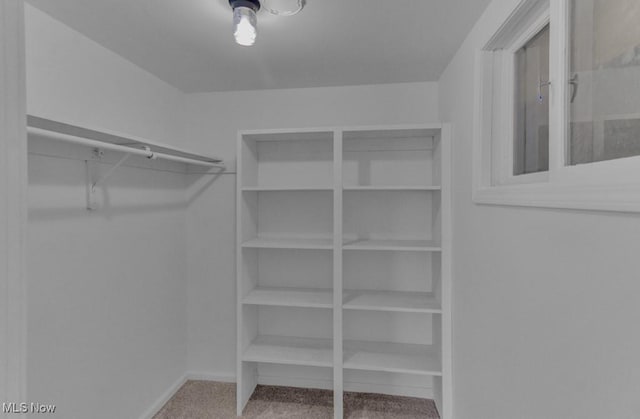 spacious closet featuring carpet flooring