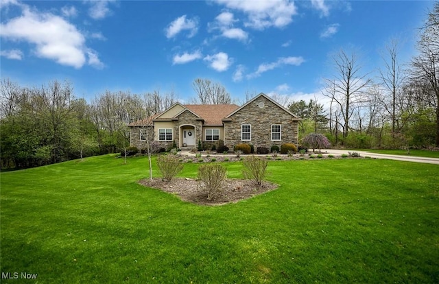 view of front of property with stone siding and a front yard
