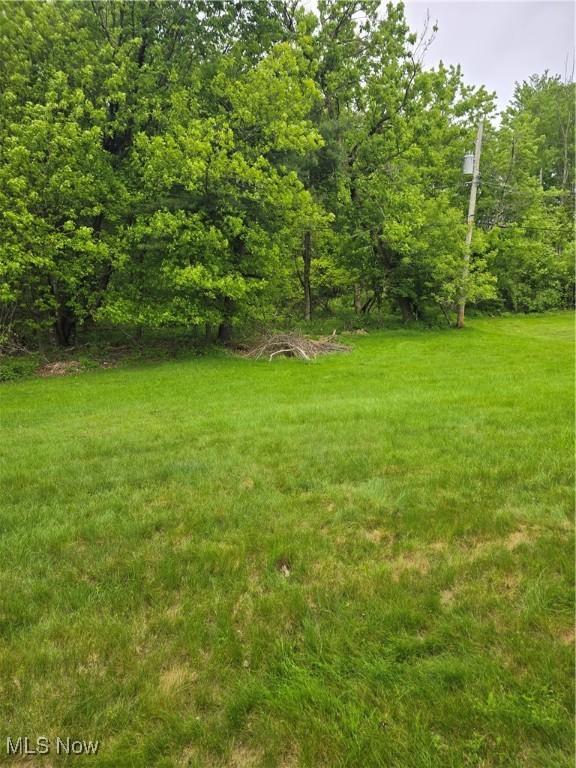 3742 Concord Dr, Beachwood, OH 44122 - view of grassy yard