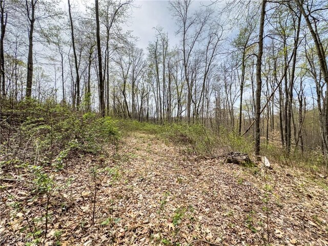 34108 Edwina Rd, Lewisville, OH 43754 - photo 13