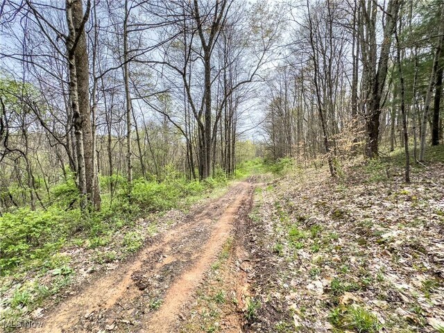 34108 Edwina Rd, Lewisville, OH 43754 - photo 17
