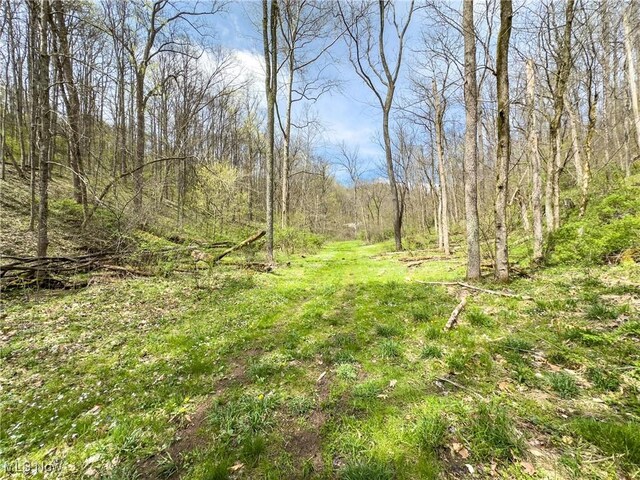 34108 Edwina Rd, Lewisville, OH 43754 - photo 29