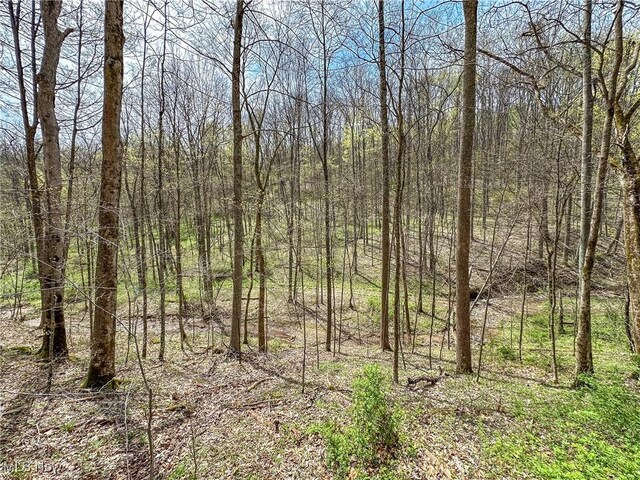 34108 Edwina Rd, Lewisville, OH 43754 - photo 30