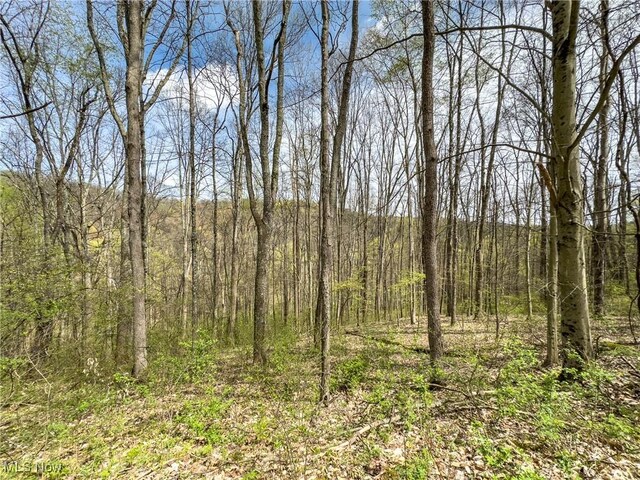 34108 Edwina Rd, Lewisville, OH 43754 - photo 40