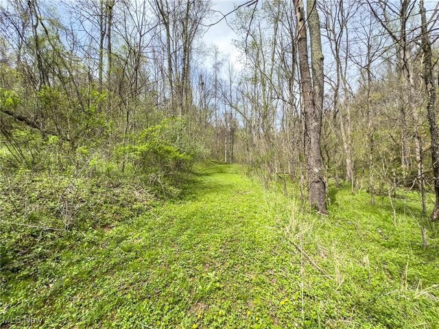34108 Edwina Rd, Lewisville, OH 43754 - photo 41