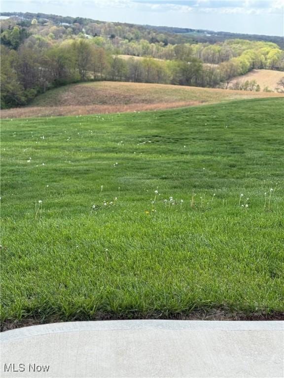 1305 Bald Hl, Zanesville, OH 43701 - photo 45
