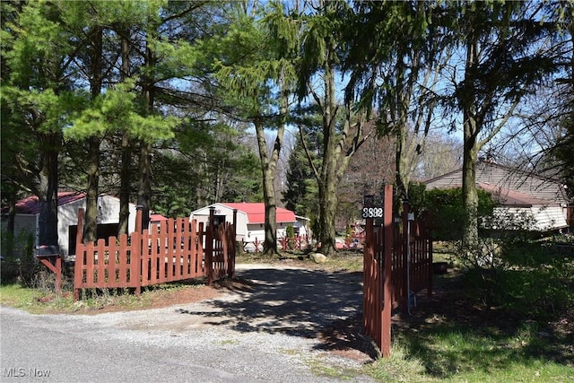 view of road with driveway and a gated entry
