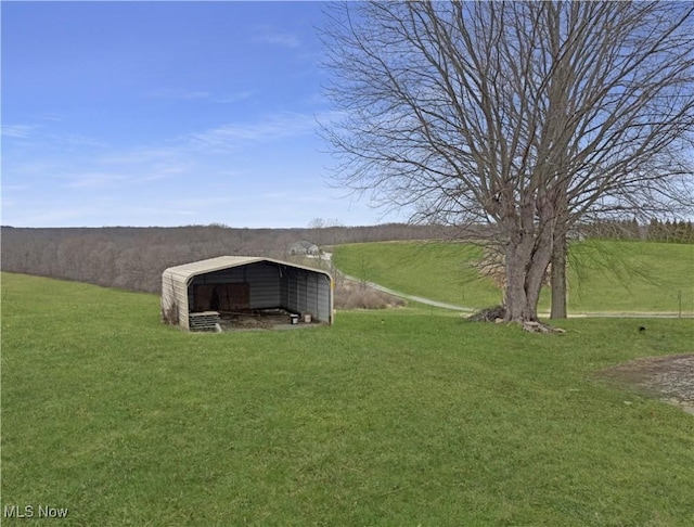 view of yard with a detached carport