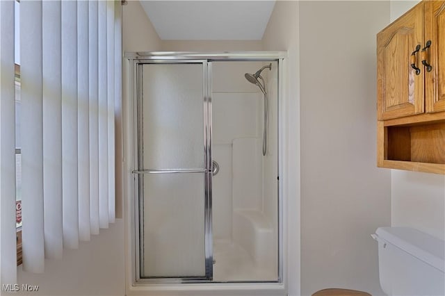 810 Southwestern Run Unit 19, Poland, OH 44514 - bathroom with a shower stall and toilet
