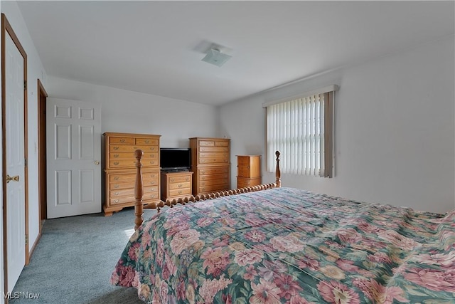 810 Southwestern Run Unit 19, Poland, OH 44514 - view of carpeted bedroom