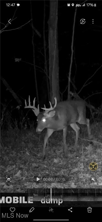 13651 16, Conesville, OH 43811