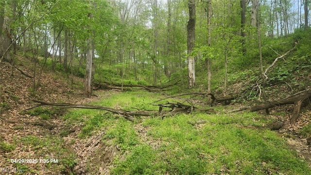 13651 16, Conesville, OH 43811