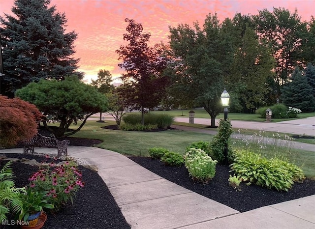 view of home's community featuring a yard