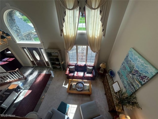 living area with a healthy amount of sunlight and a high ceiling