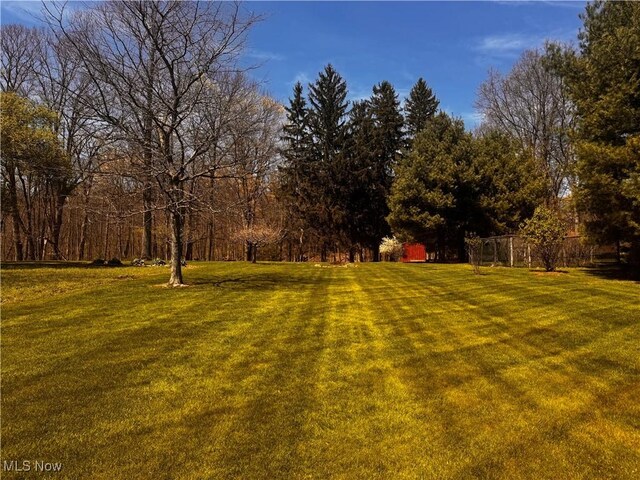 view of yard