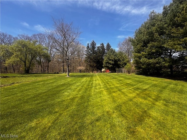 view of yard