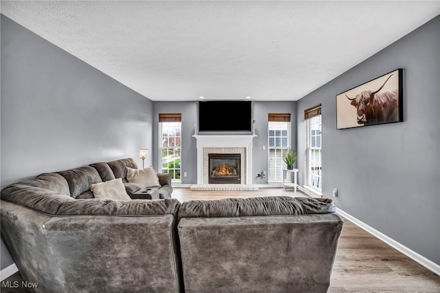 living area featuring baseboards, wood finished floors, plenty of natural light, and a glass covered fireplace