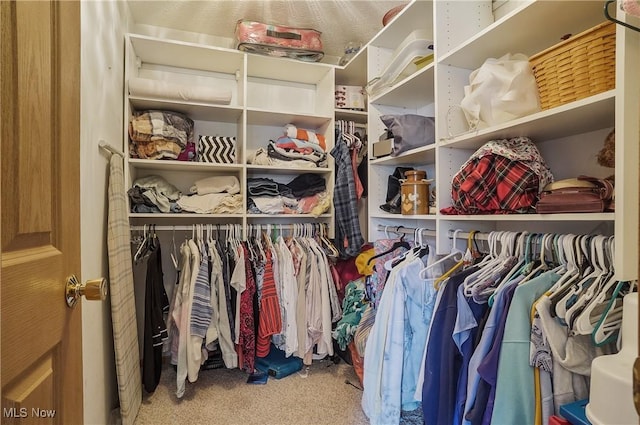 spacious closet featuring carpet
