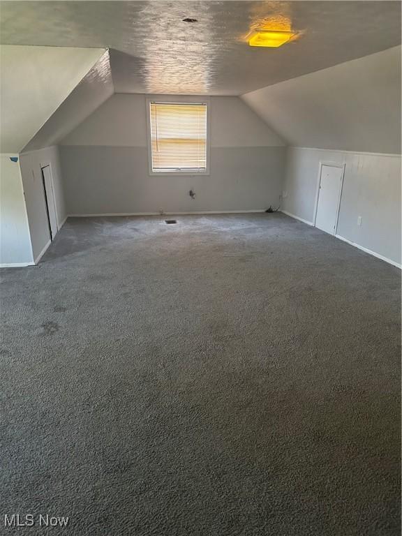 1765 E 238th St, Euclid, OH 44117 - bonus room featuring lofted ceiling, carpet flooring, and baseboards