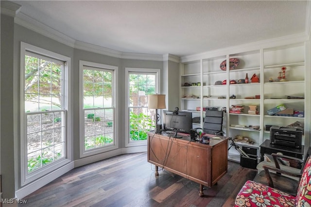 office featuring dark wood finished floors and crown molding