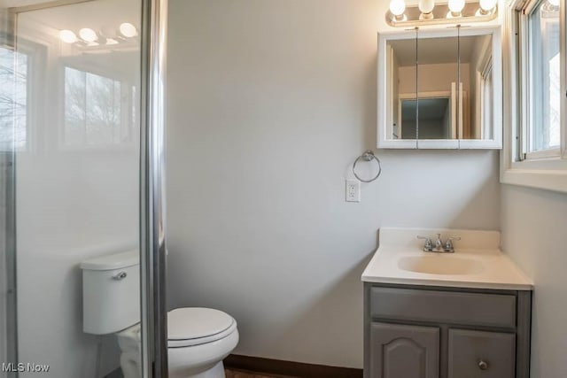 bathroom with toilet and vanity