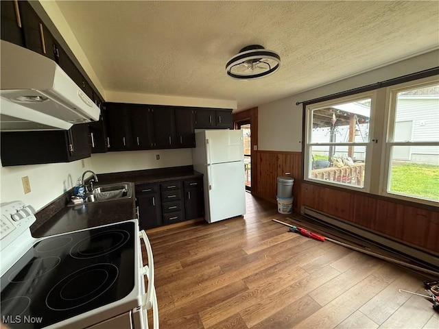 kitchen with white appliances, exhaust hood, a wainscoted wall, dark cabinetry, and a sink