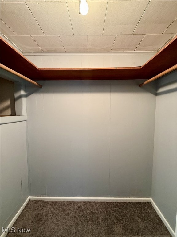 walk in closet featuring carpet flooring
