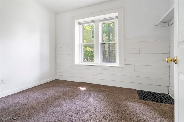 empty room featuring wood walls and carpet floors