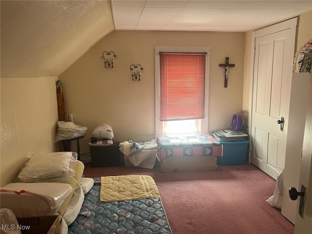 interior space with lofted ceiling and carpet