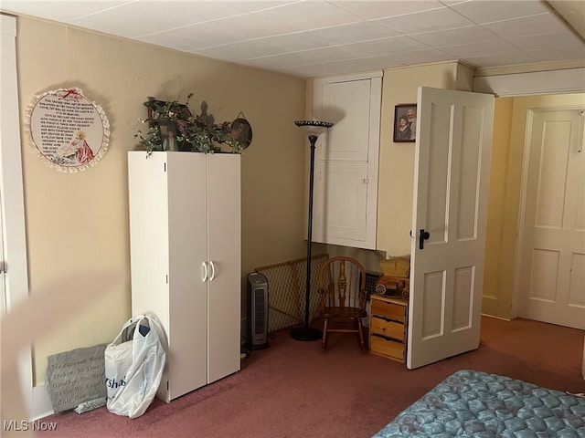 bedroom with carpet