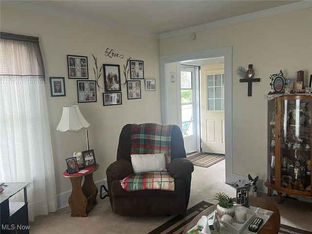 living area featuring carpet