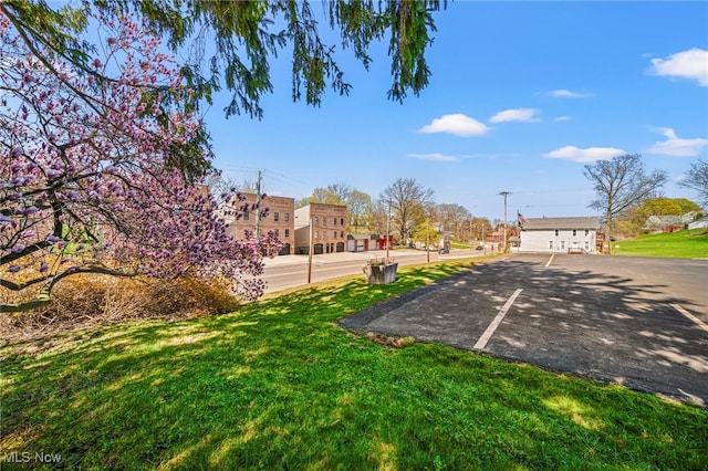 1420 Bridge St, Ashtabula, OH 44004 - view of yard