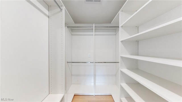spacious closet with visible vents