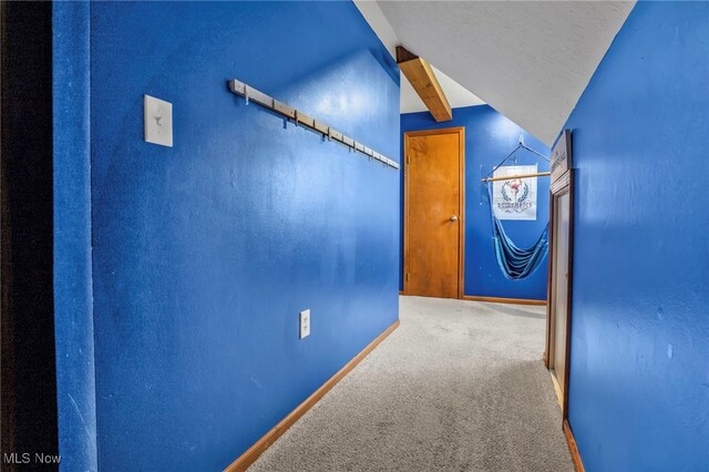 39233 Jones Rd, Litchfield, OH 44253 - hall featuring lofted ceiling, carpet floors, and baseboards