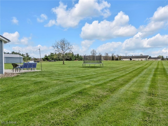 39233 Jones Rd, Litchfield, OH 44253 - view of yard featuring a trampoline