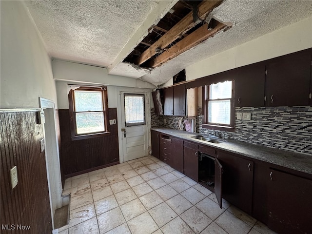 kitchen featuring a healthy amount of sunlight, tasteful backsplash, a wainscoted wall, and a sink