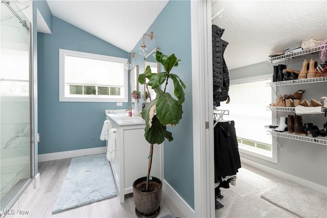 bathroom with vaulted ceiling, wood finished floors, a healthy amount of sunlight, and vanity
