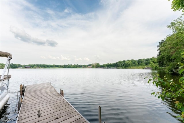 dock area with a water view
