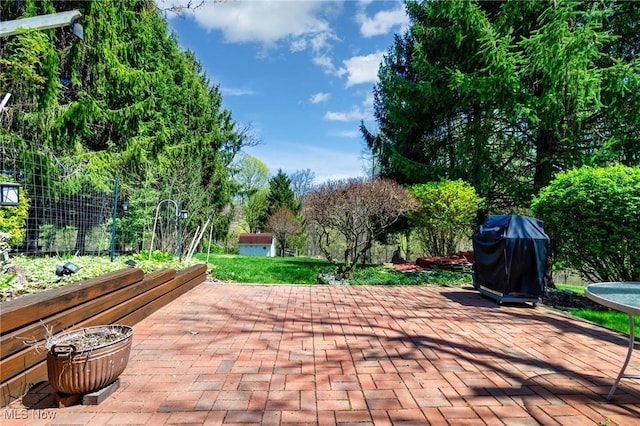 view of patio / terrace with grilling area