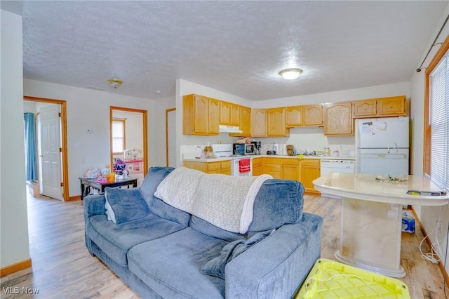 89 Rock Rd, Davisville, WV 26142 - photo 20