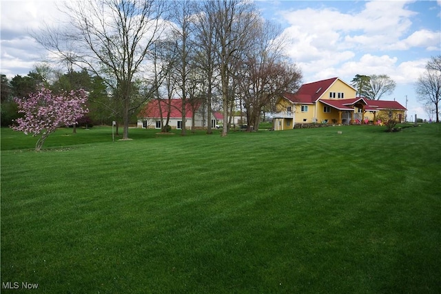 view of yard