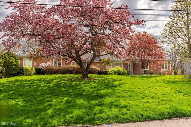 view of front of property featuring brick siding and a front lawn