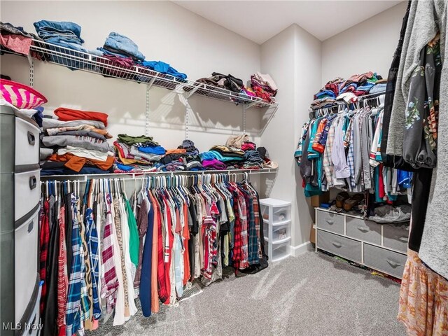 walk in closet with carpet floors