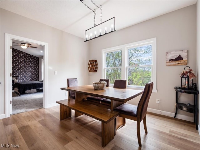 dining room with baseboards, ceiling fan, and light wood-style floors