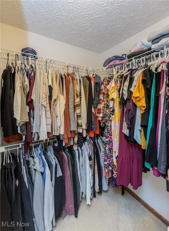 view of walk in closet