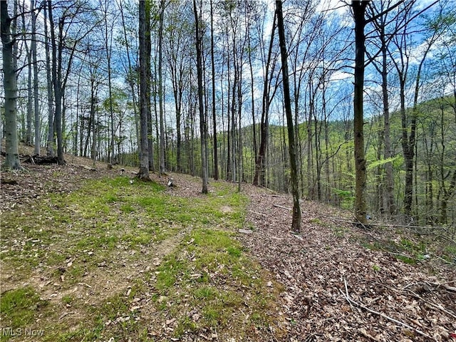 view of local wilderness with a wooded view