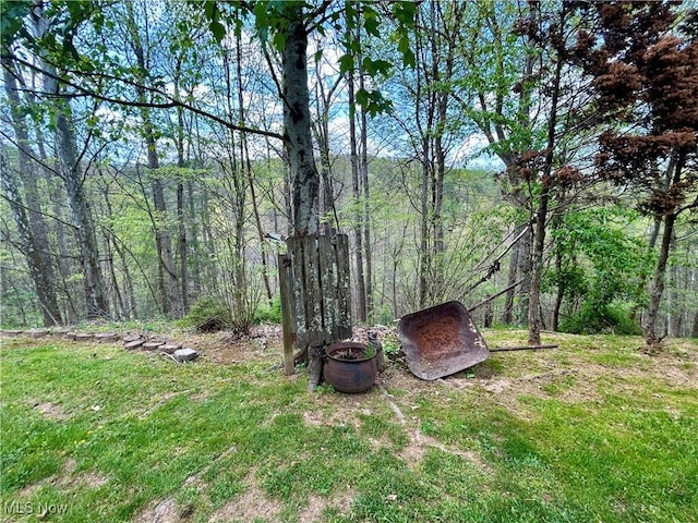 view of yard featuring a wooded view