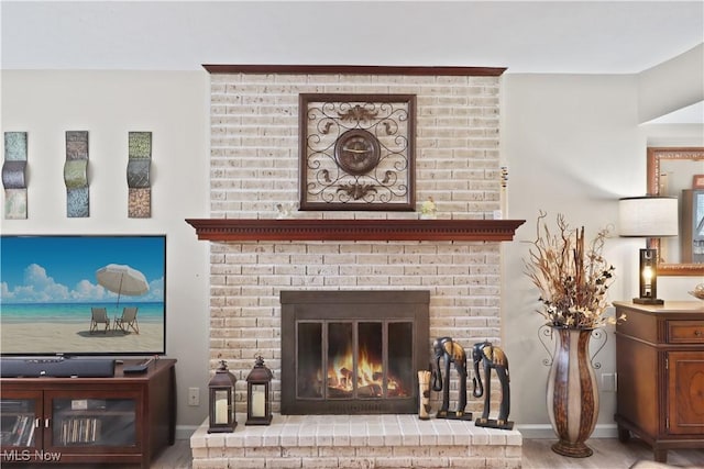 details with baseboards, wood finished floors, and a fireplace